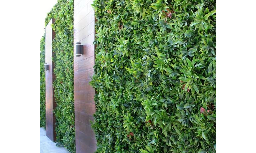گیاهان دیوار سبز