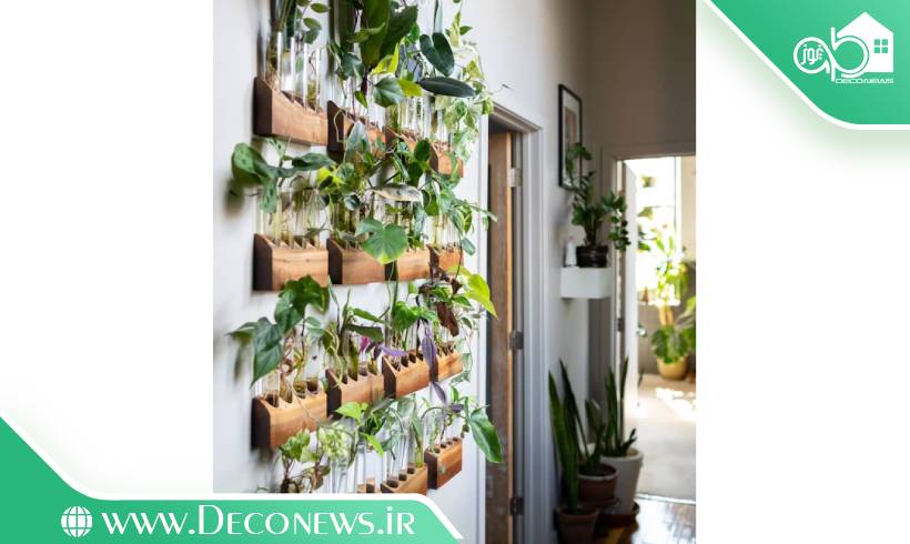 طراحی راهرو باریک خانه با گیاهان