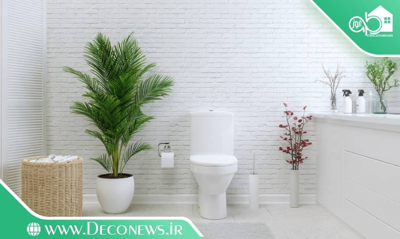 44 گل و گیاه مناسب سرویس بهداشتی و دستشویی و گل حمامی