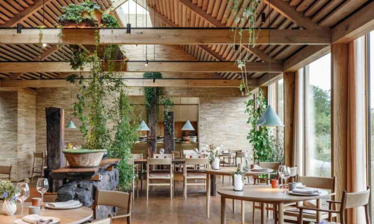 تزئین رستوران با گل و گیاه