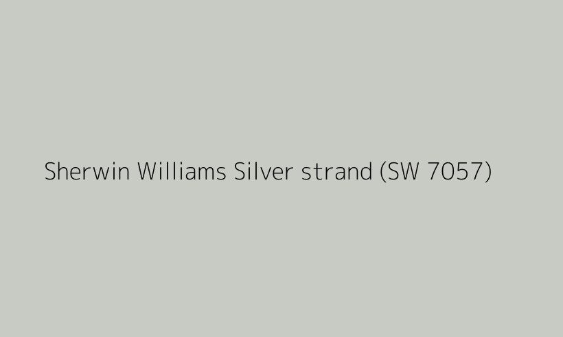 ساحل نقره ای یا silver stand شروین ویلیامز