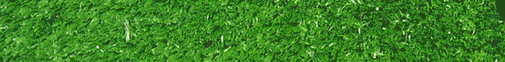 خرید چمن مصنوعی 