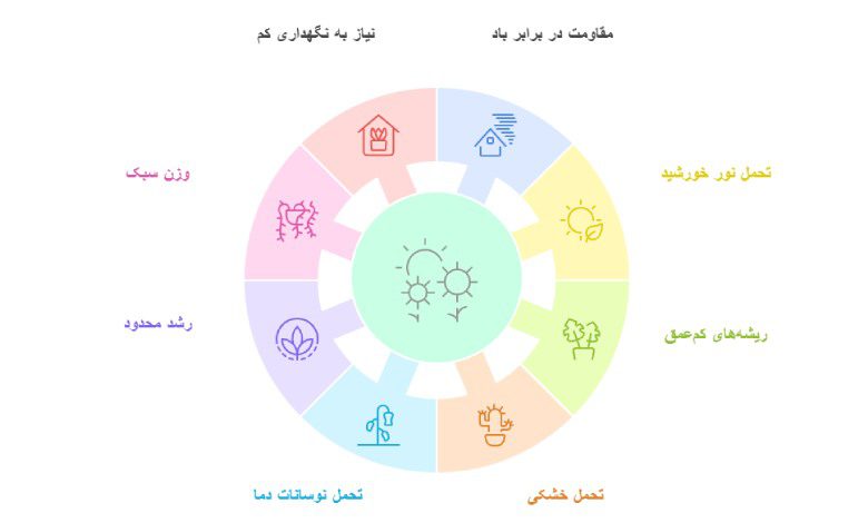 ویژگی های گل و گیاه برای پشت بام و روف گاردن